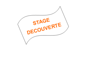 Stage découverte